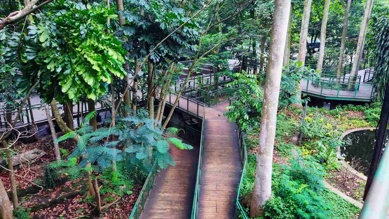 forest walk babakan siliwangi 