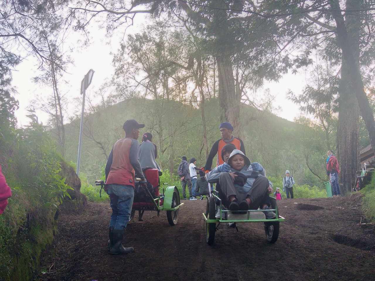 human powered cart 
