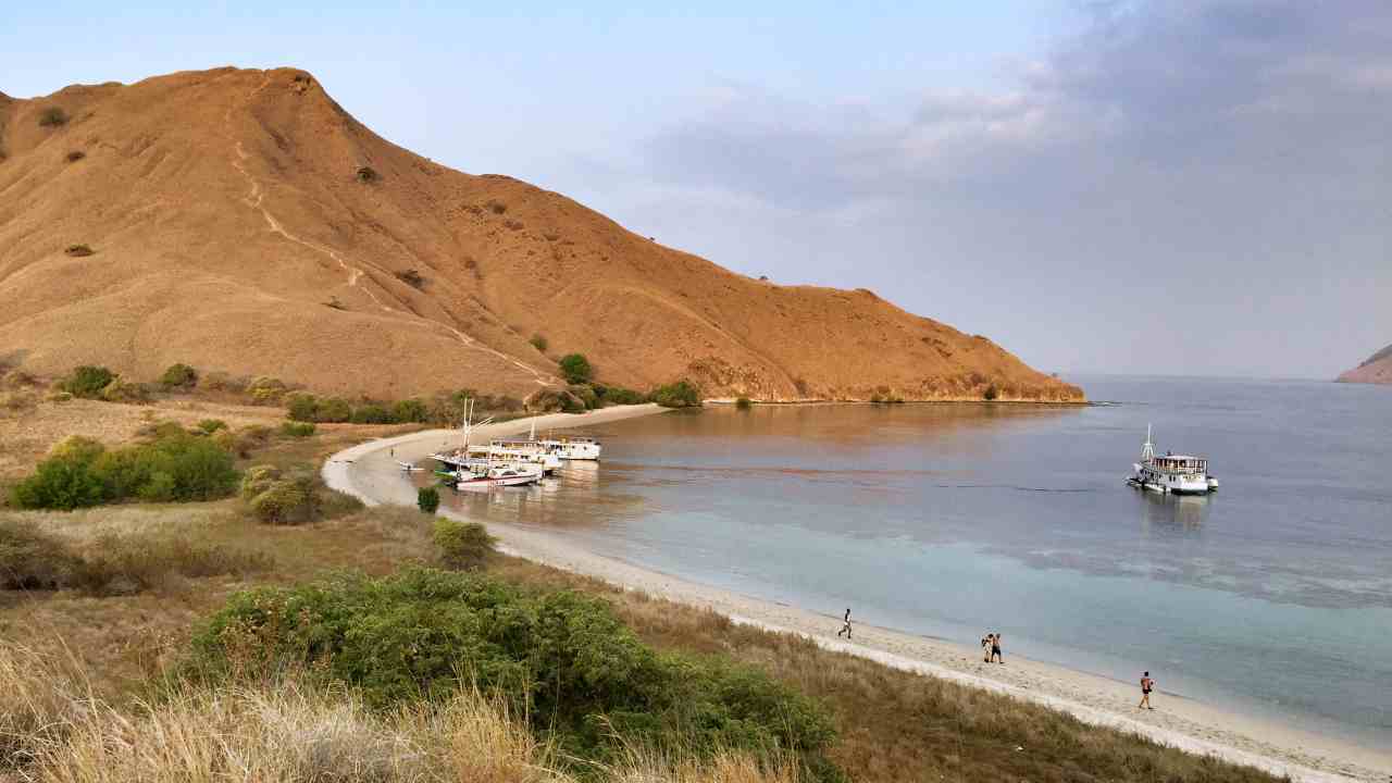 komodo island 