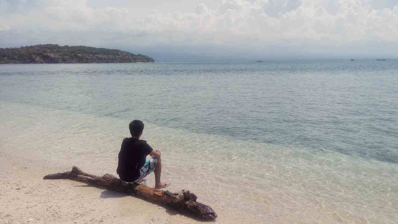 menjangan island 