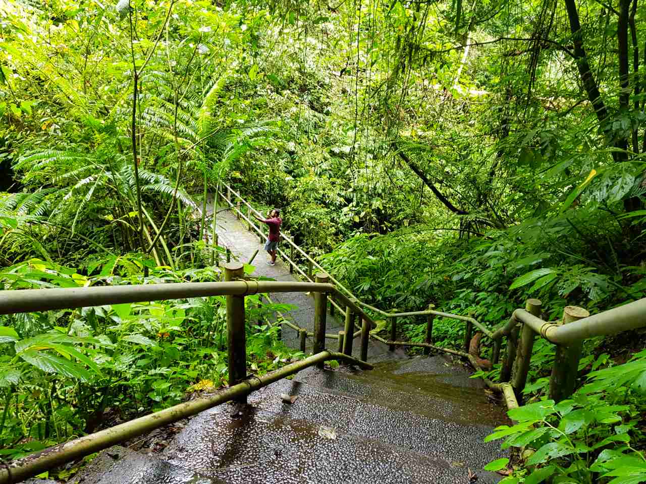 nungnung waterfall track 