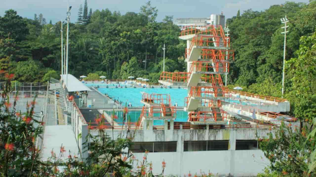 olympic standar swimming pool 