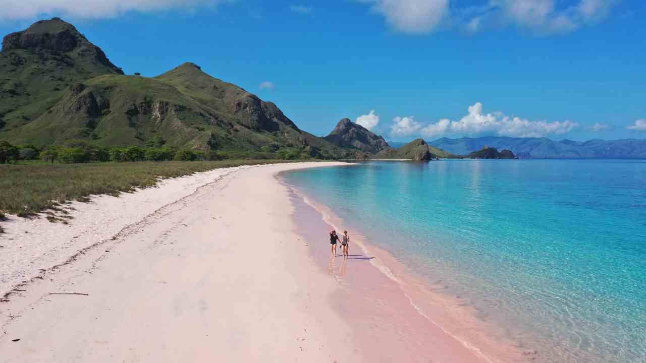 pink beach 