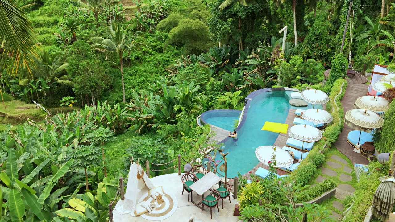 pool overlooking the tegalalang valey 