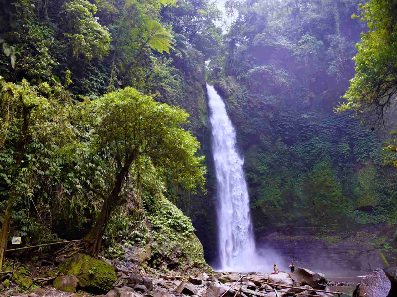 vegetations in nungnung waterfall 