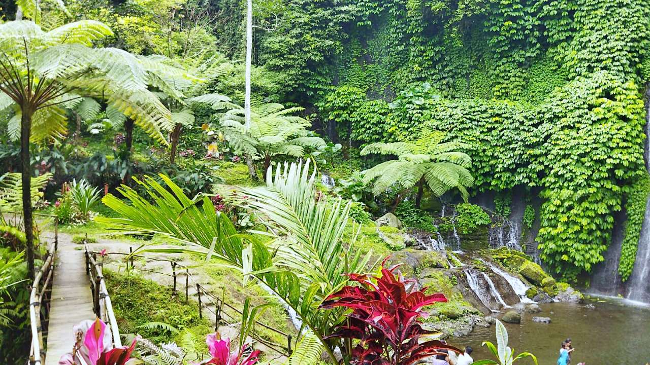 banyumala waterfall lush vegetation 