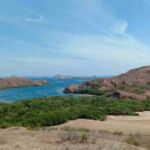 rinca island, komodo national park