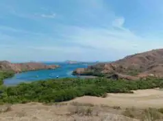 rinca island, komodo national park