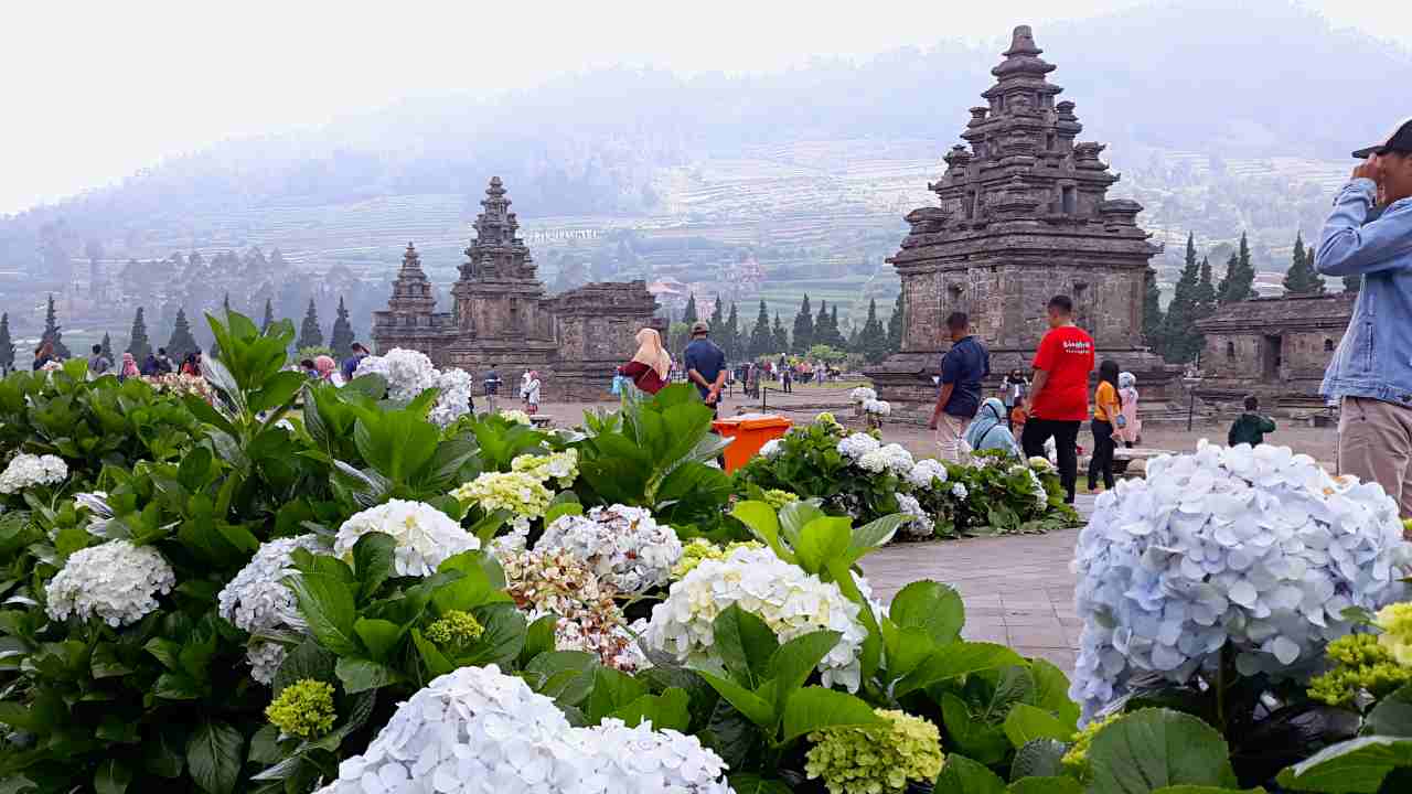 temples in dieng highland 