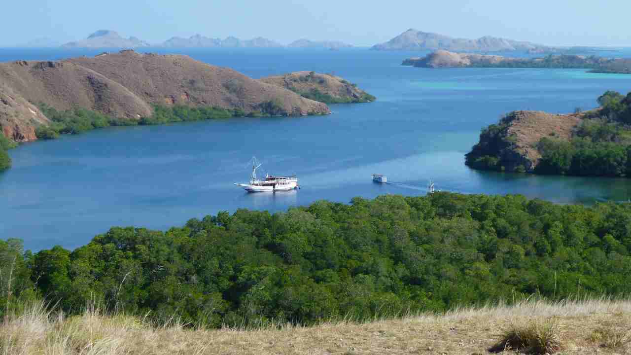 rinca island landscape 
