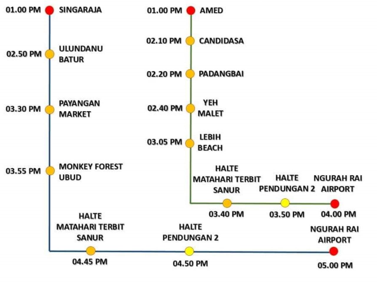 transportation bali damri bus 