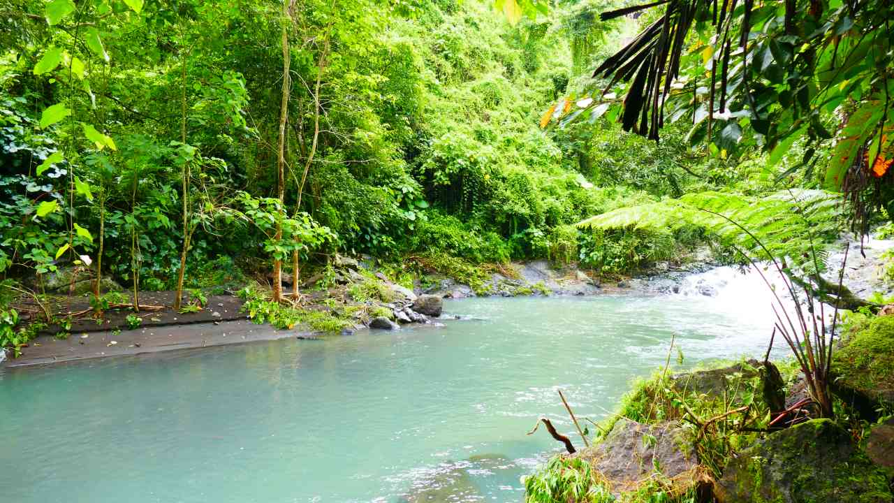 aling-aling waterfall clean river stream 