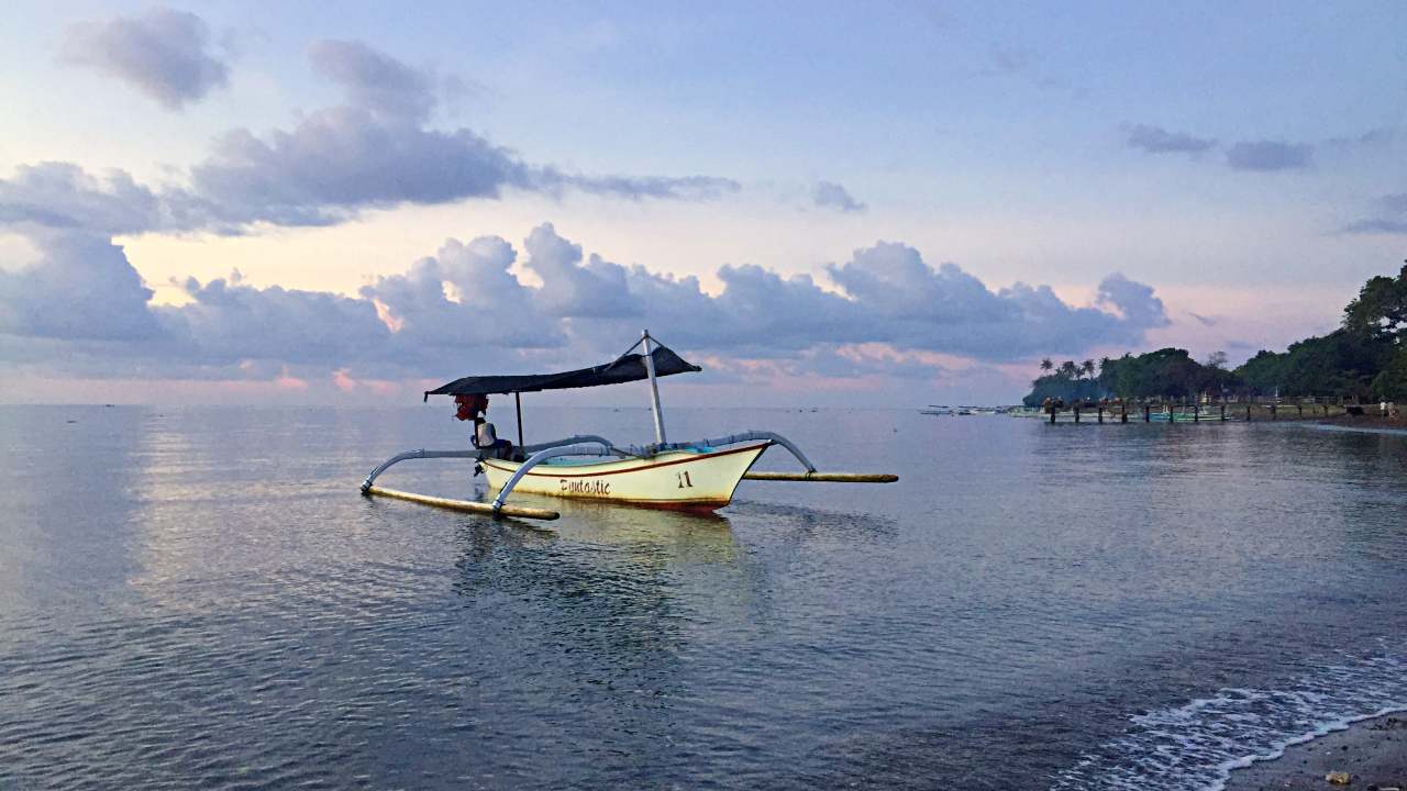 boat for the dolphin tour 