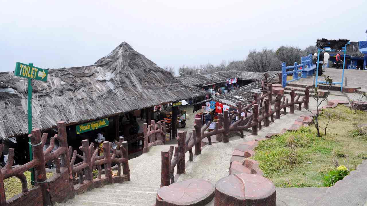 food vendors 