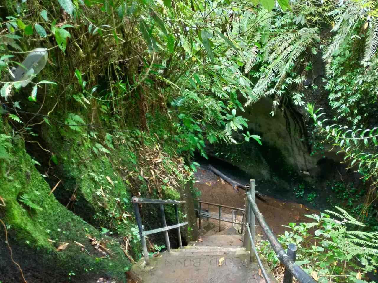 Small path leading to the stream 