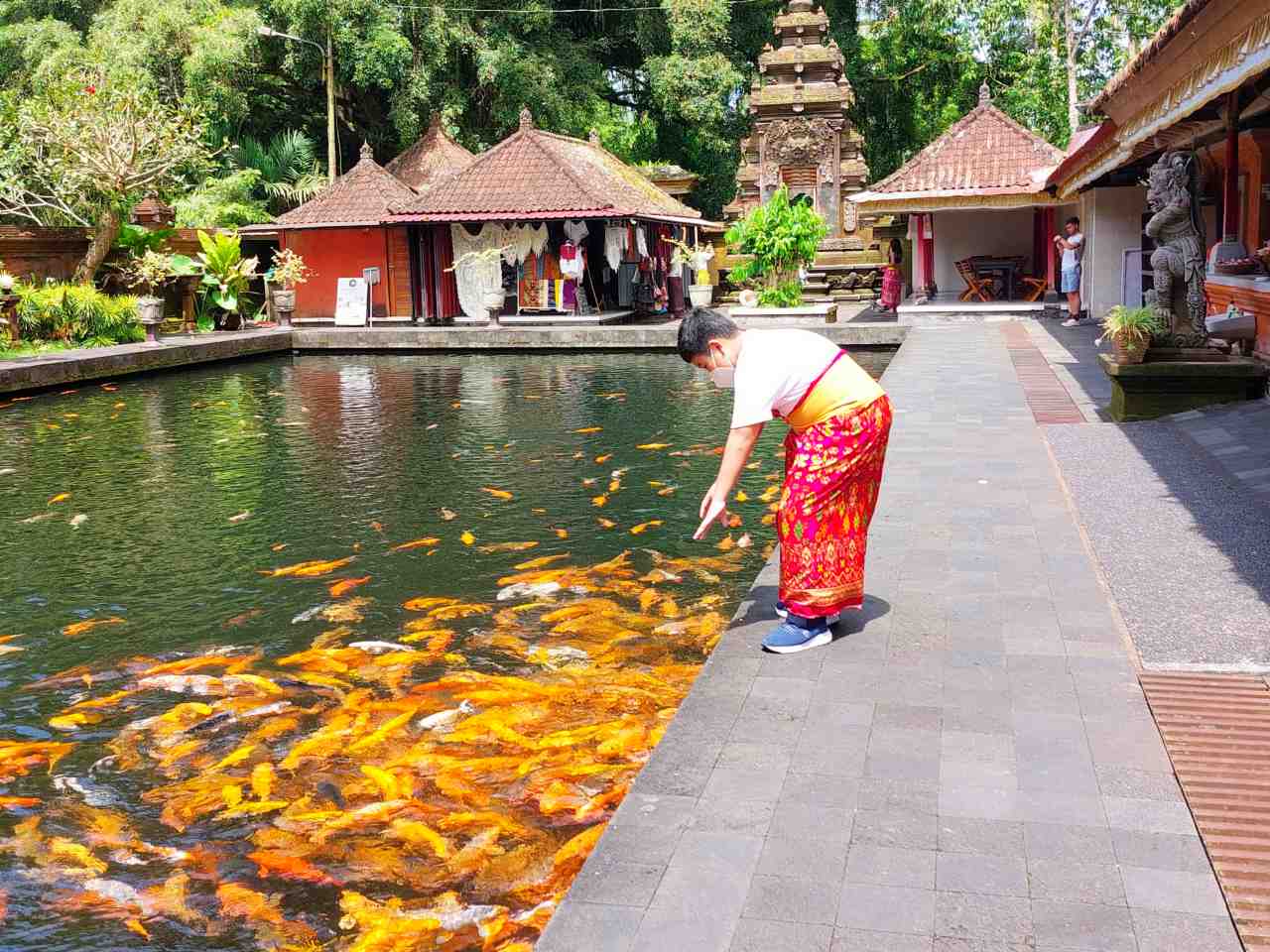 tirta empul temple, fish pond 