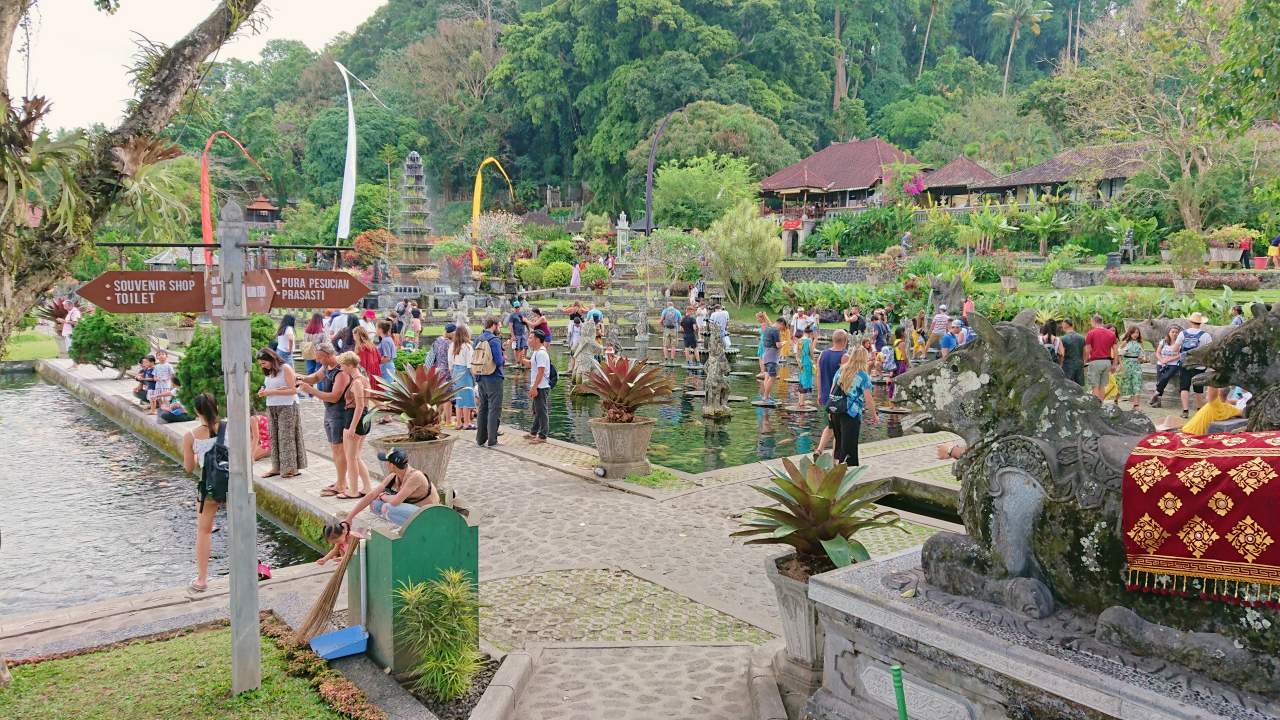 the big koi pond area