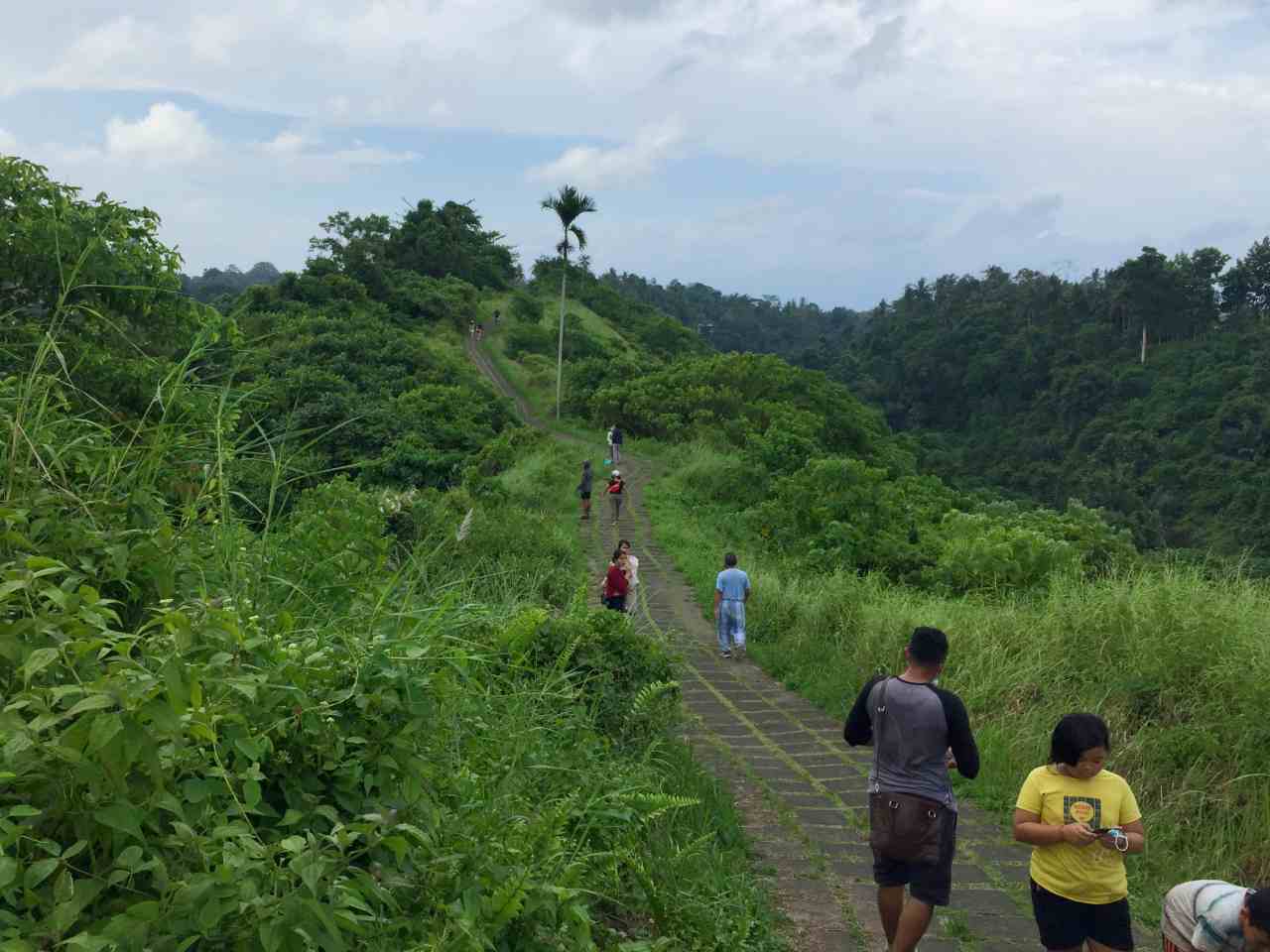 campuhan ridge walk track