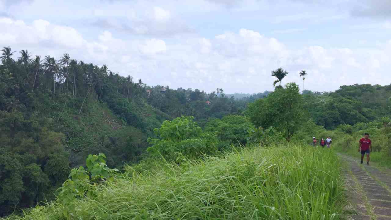 campuhan ridge walk 