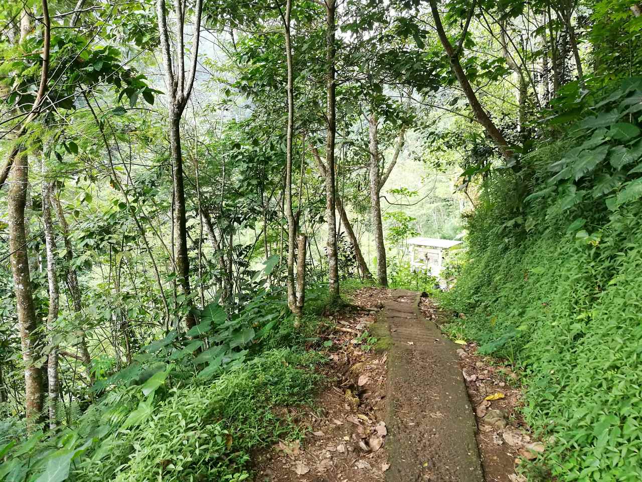 munduk waterfall path 