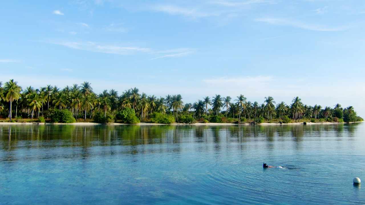 menjangan island karimun jawa 