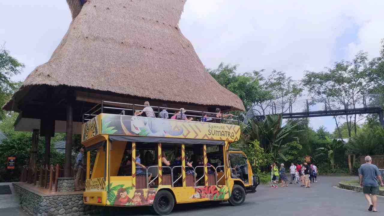 bali zoo shuttle bus