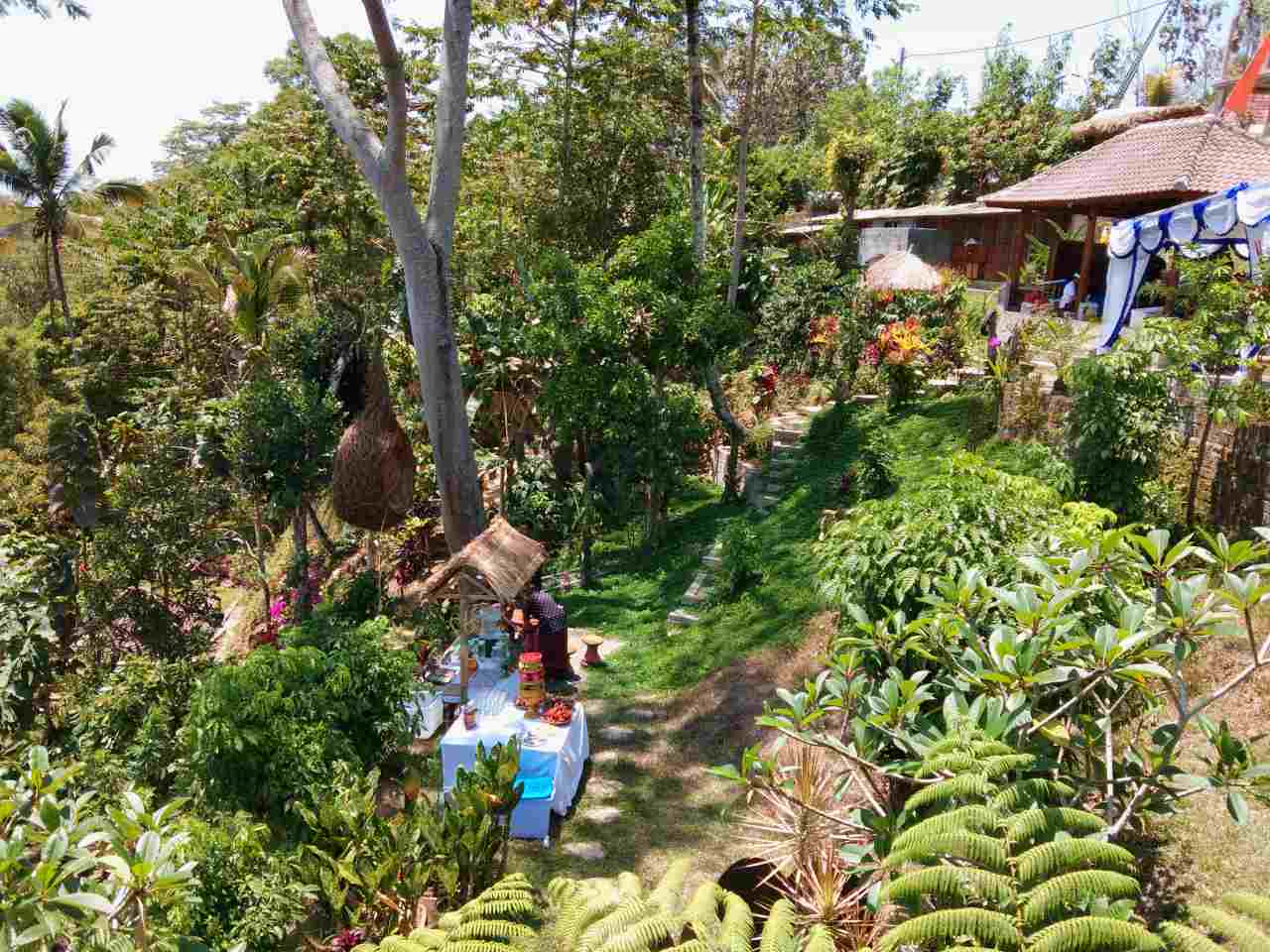 fruit stall 