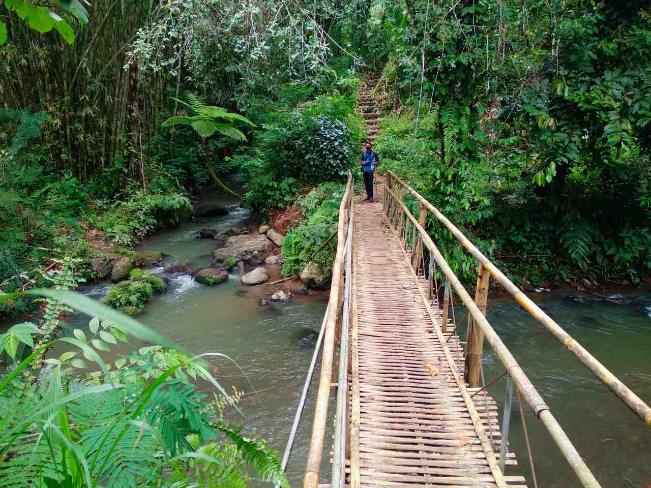 bamboo bridge