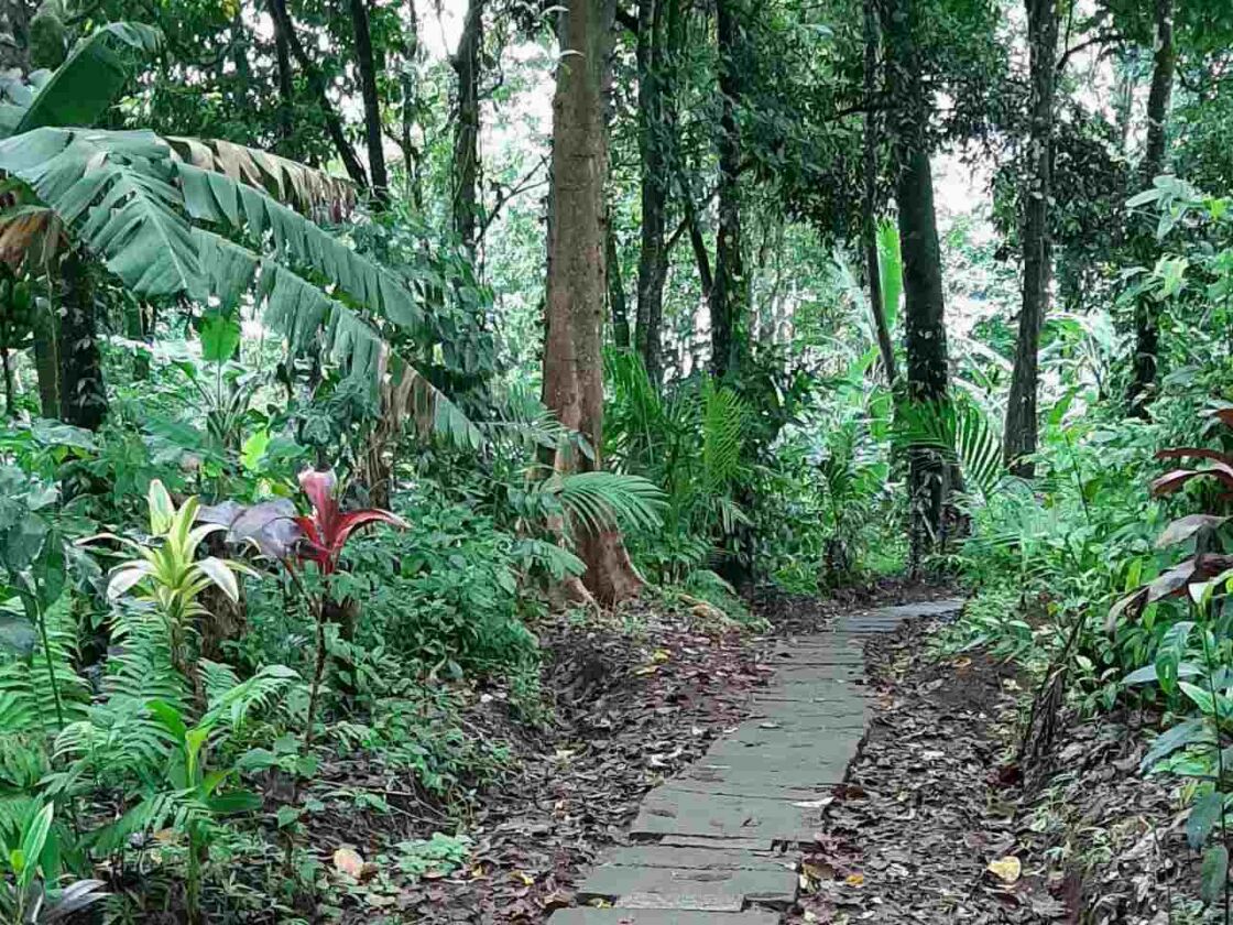 Banyu Wana Amertha Waterfall Guide