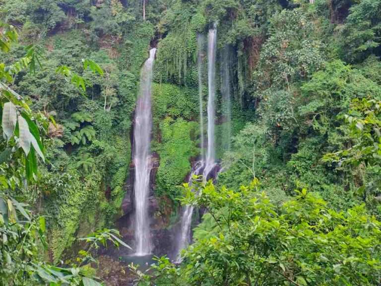 sekumpul waterfall north bali