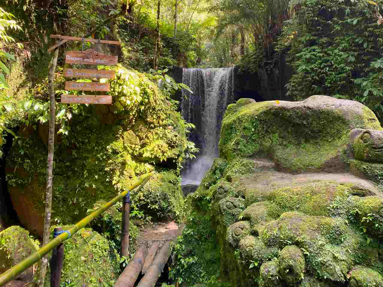 suwat waterfall bamboo bridge 