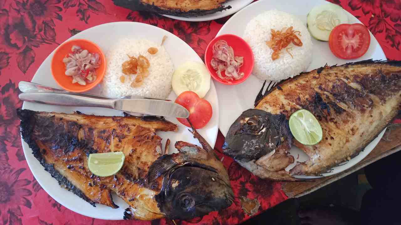 grilled fish