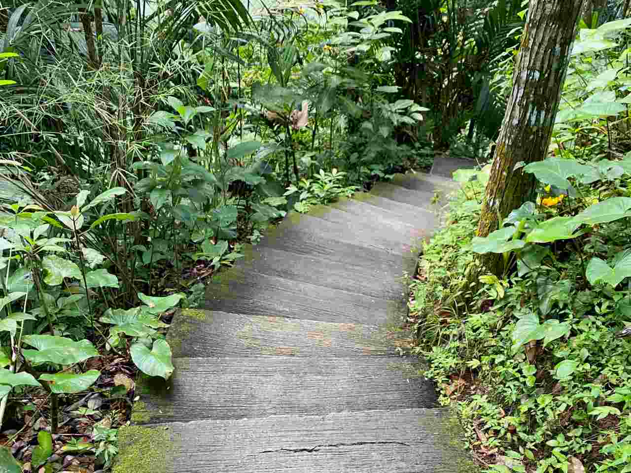 suwat waterfall stairs 