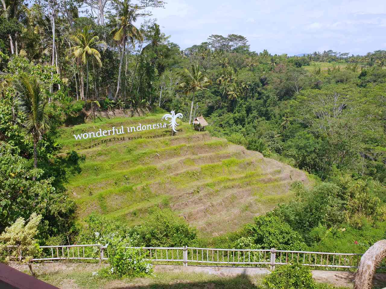 rice terrace view 