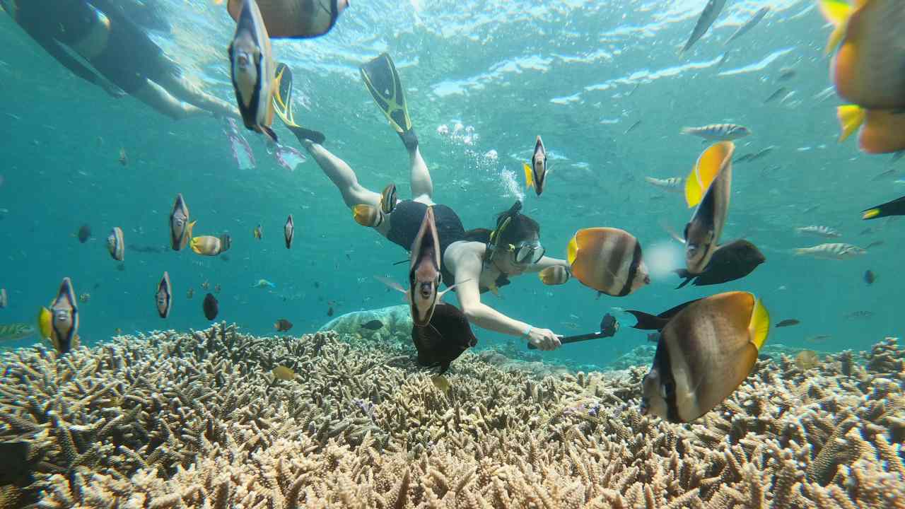 nusa lembongan underwater. 