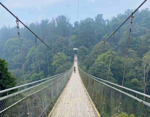 situ gunung suspension bridge