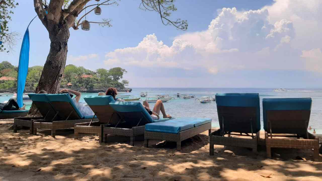 sunbathing mushroom bay beach 