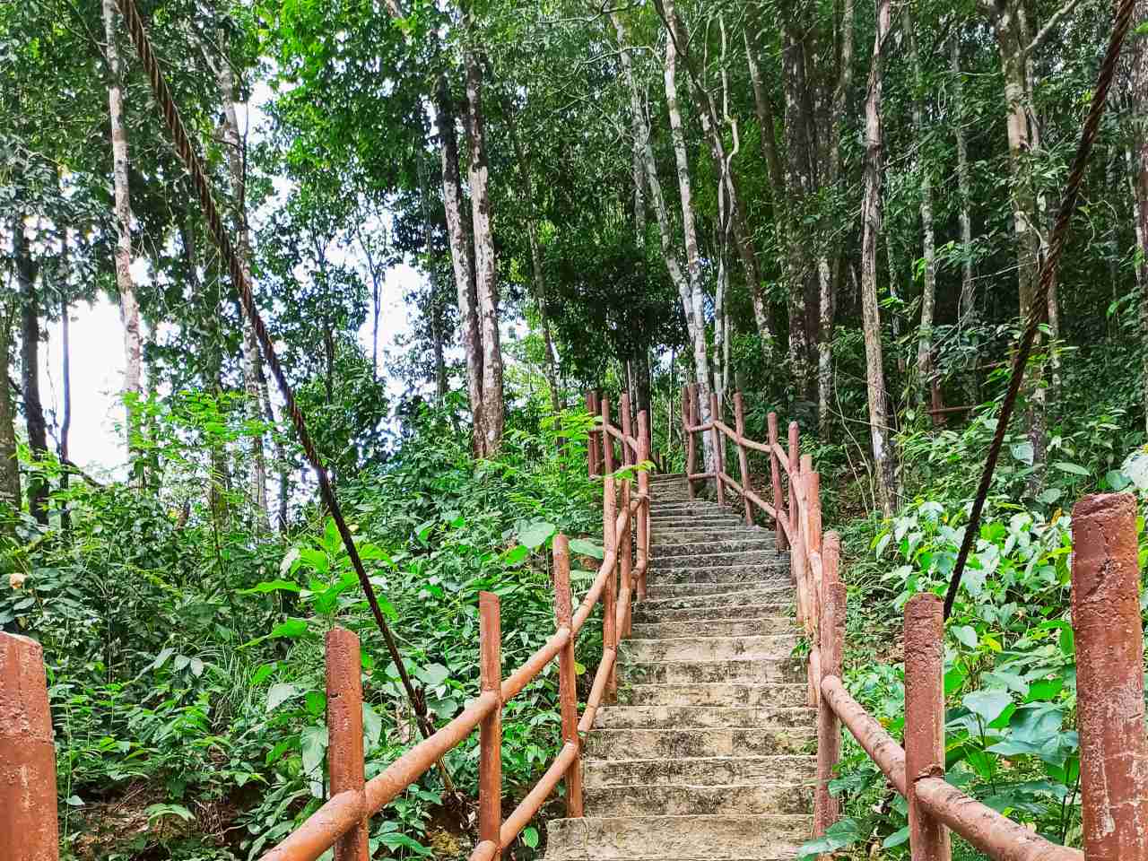 cunca wulang waterfall trail 