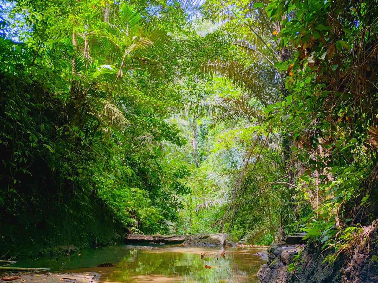 pengempu waterfall little jungle vibe 