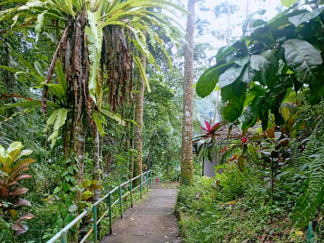 pengempu waterfall paved path