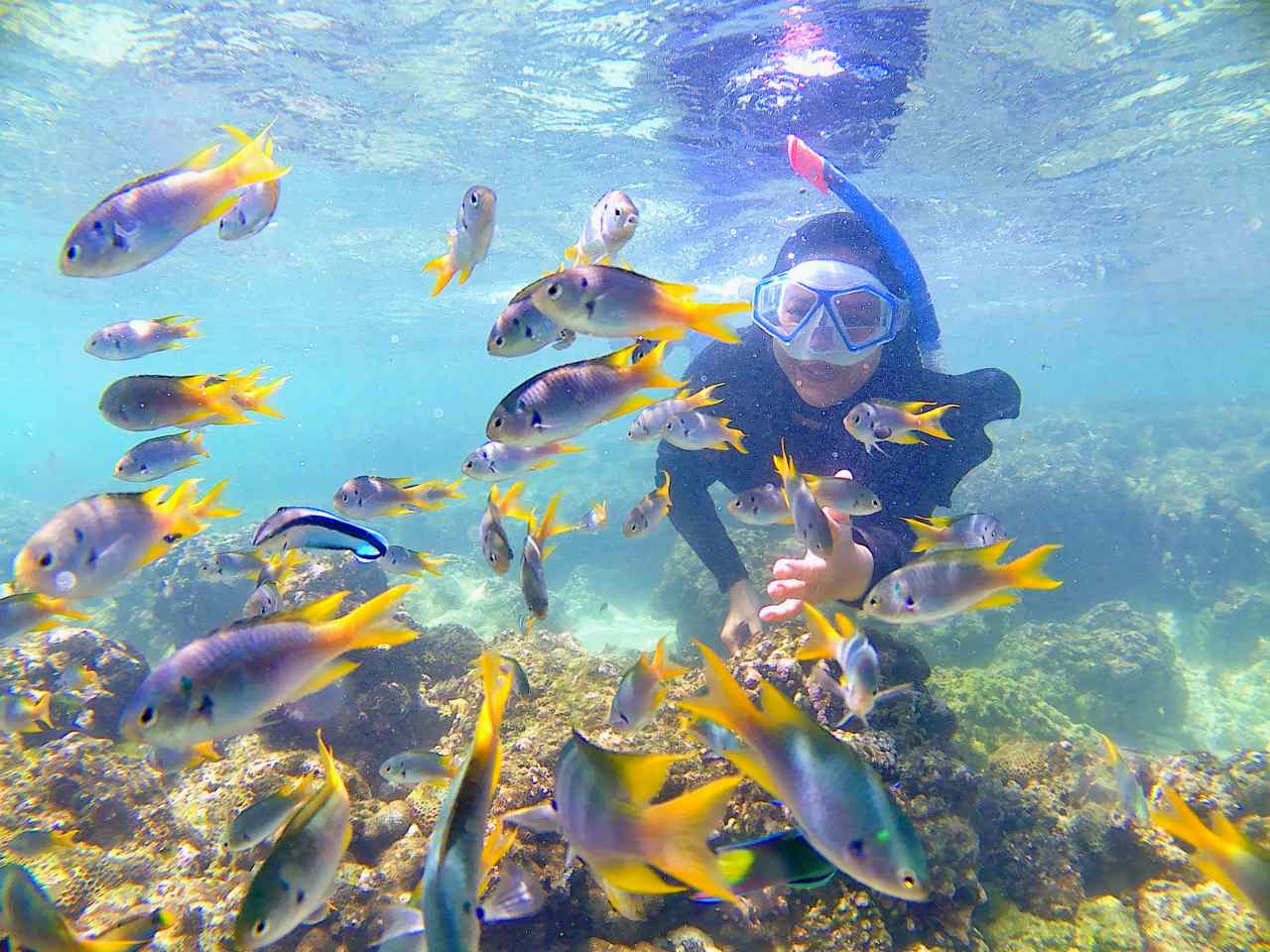 snorkeling in krakal beach 