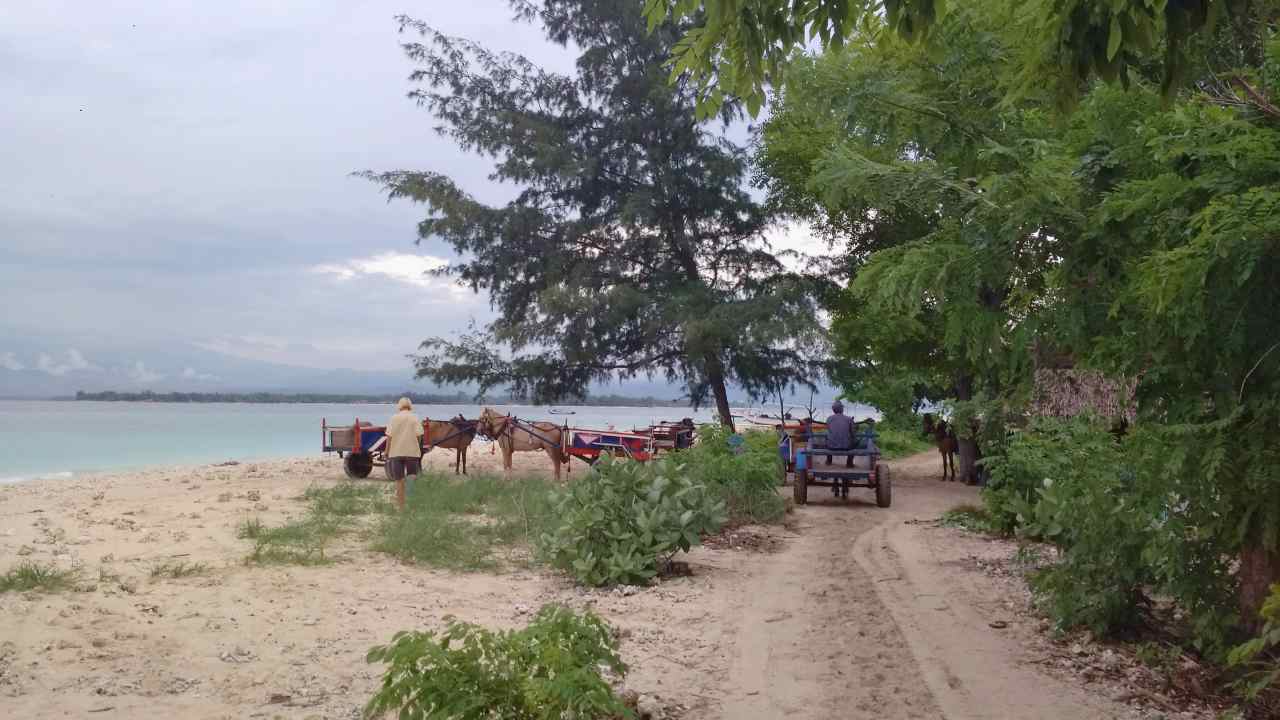 Traditional transportation method, the horse carts 