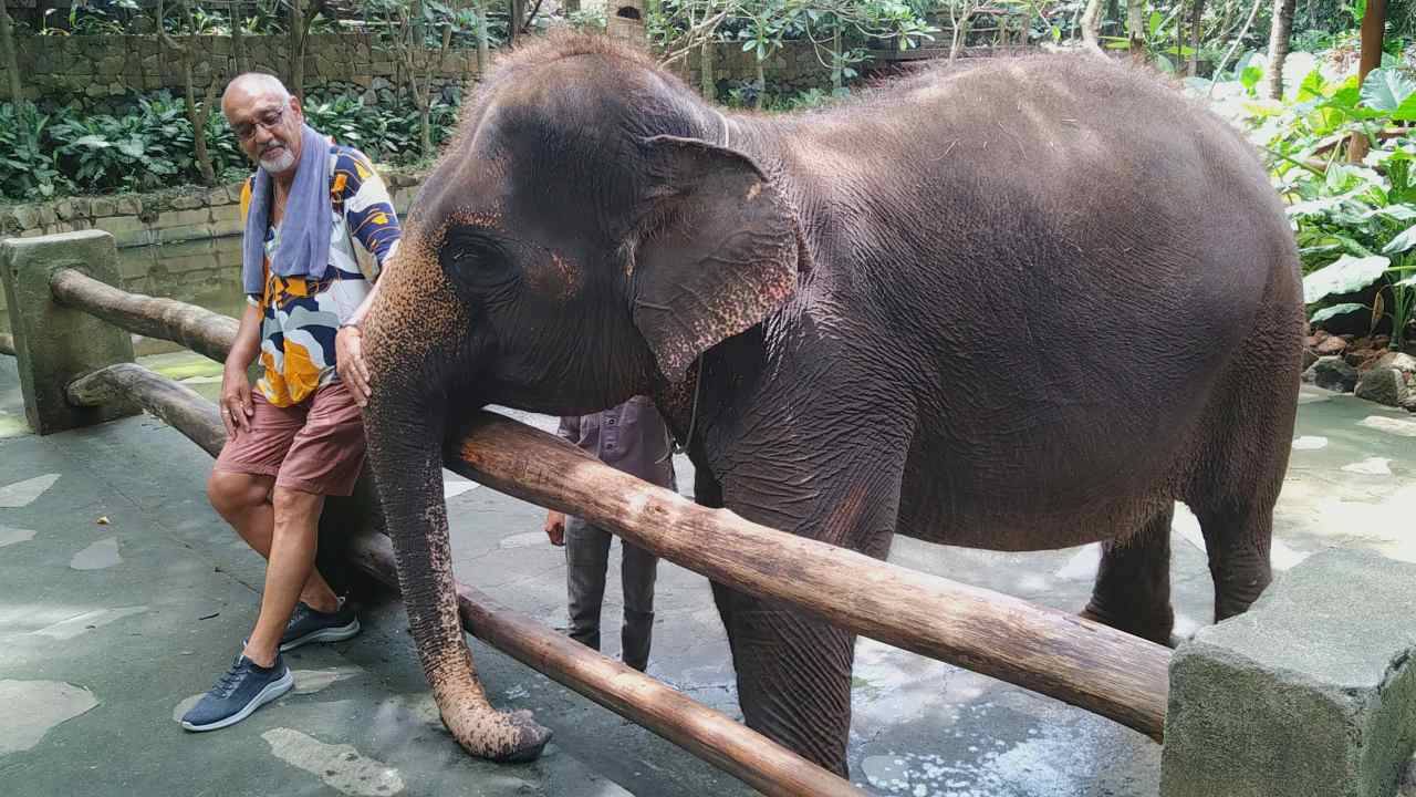 elephant zone in Lombok wildlife park