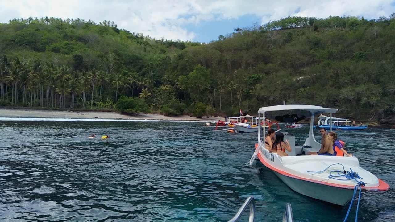 gamat bay nusa penida 