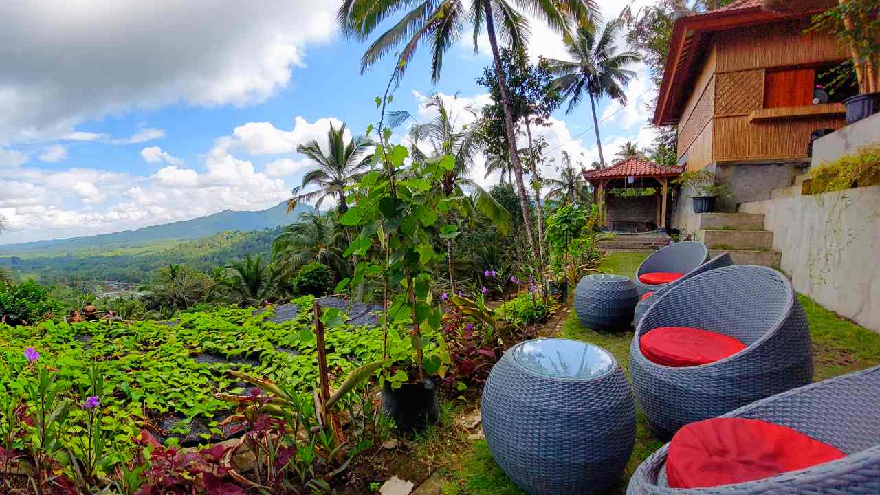 Restaurant with view 