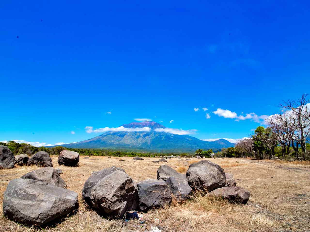 savana tianyar with mount Agung background 