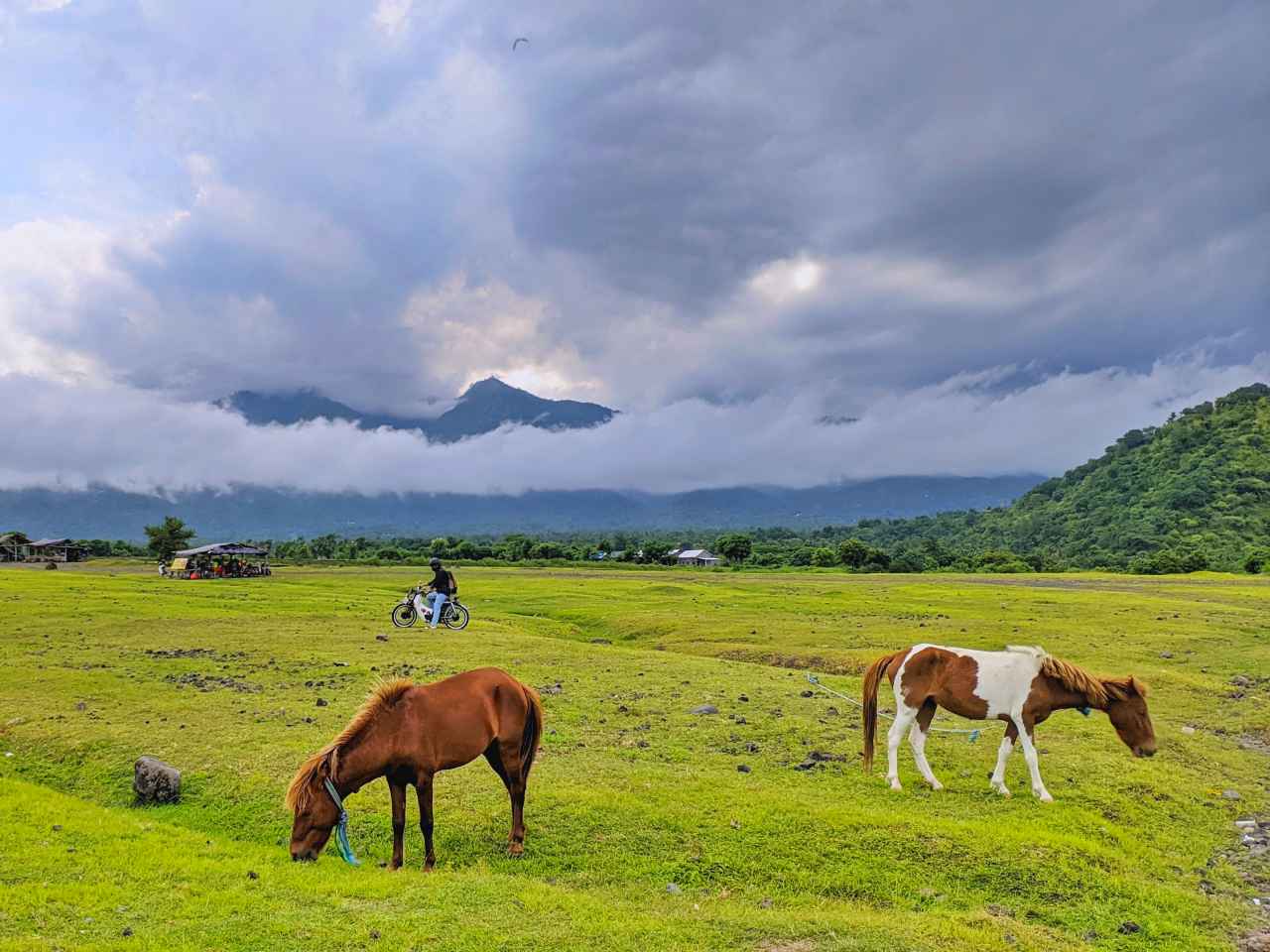 savana tianyar meadow