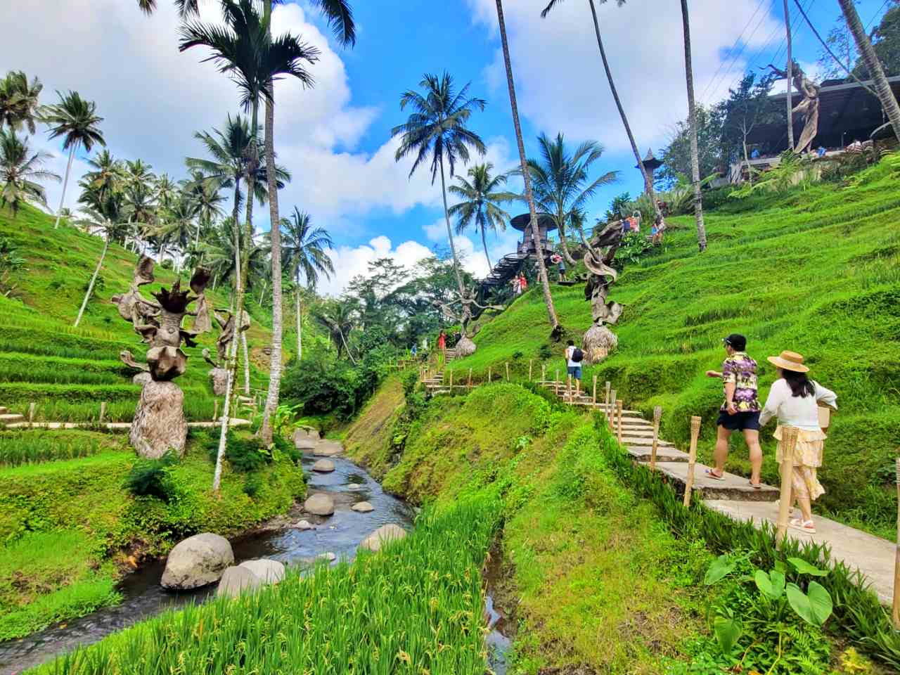 alas harum rice terrace 