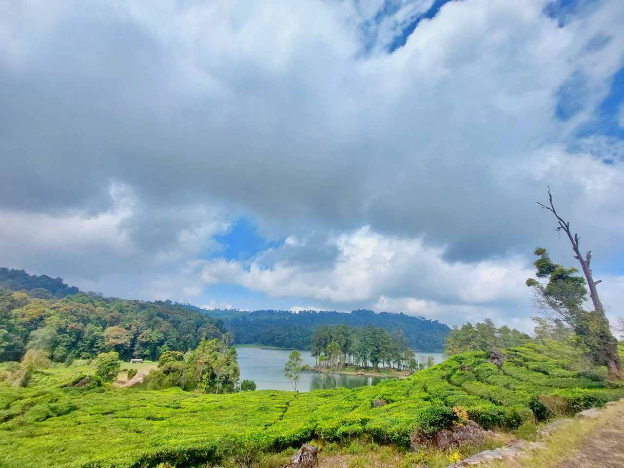 patenggang lake view 