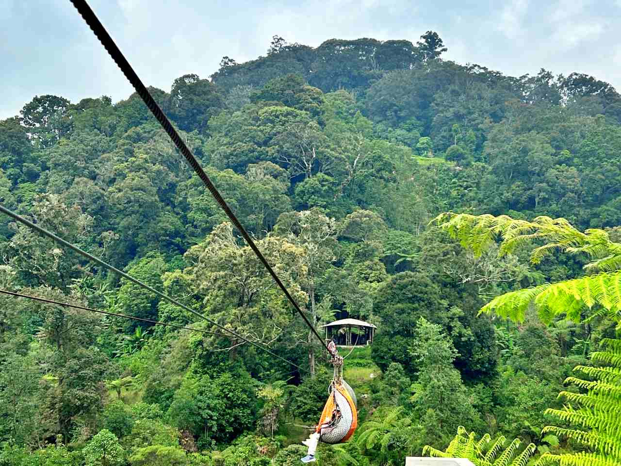 sultan basket ride in rengganis suspension bridge 